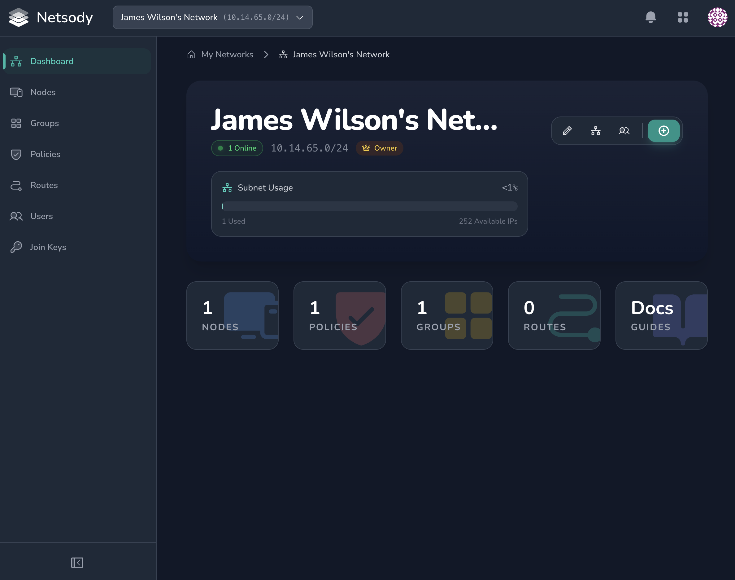 Netsody network dashboard showing one online device