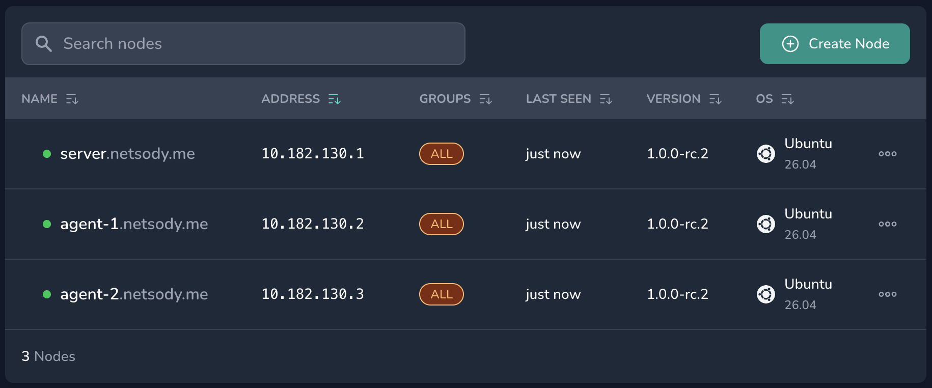 Netsody controller Nodes view showing the server, agent-1, and agent-2 nodes with their overlay IP addresses